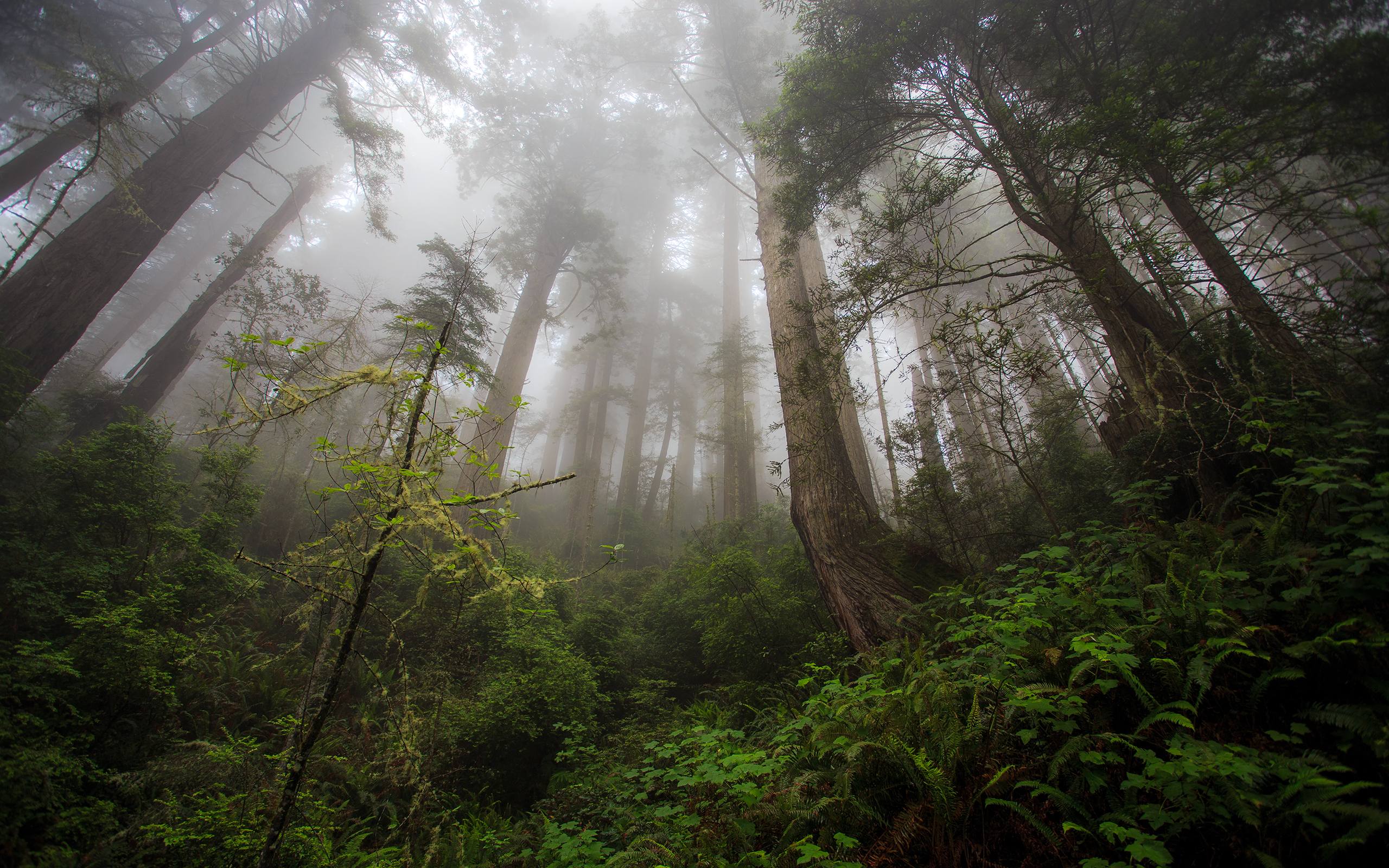 《岛弧山脉的绝美瞬间：高山壁纸特辑，苹果设备免费下载！》详细内容1